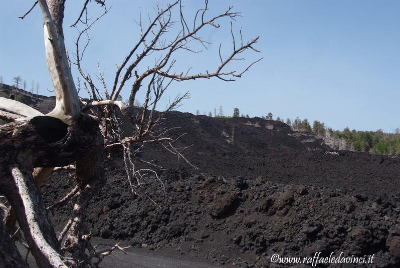 Etna1. 17mag08 (196)_ridimensionare_ridimensionare.jpg